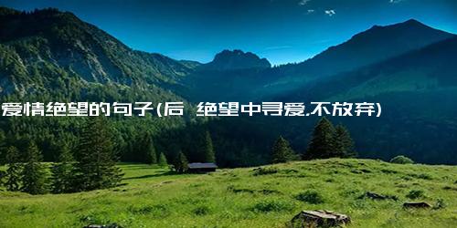 对爱情绝望的句子(后 绝望中寻爱，不放弃)
